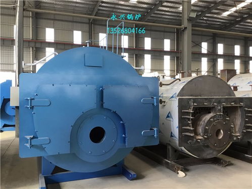 甘肃燃气锅炉食品加工蒸汽锅炉厂家批发燃气蒸汽锅炉